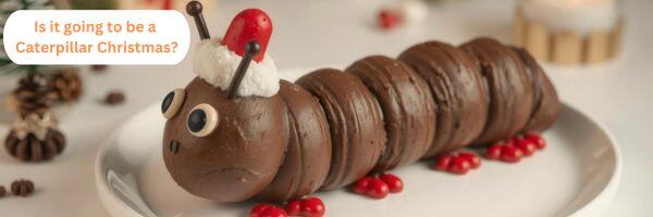 the-great-christmas-caterpillar-cake-showdown-2024